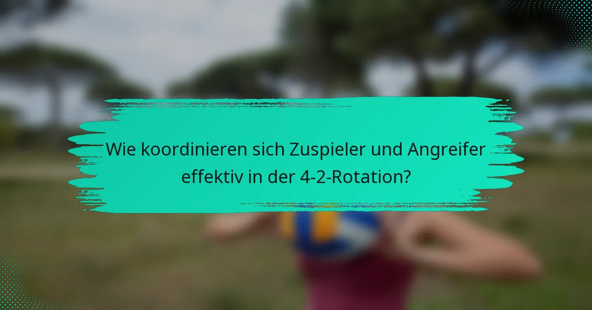 Wie koordinieren sich Zuspieler und Angreifer effektiv in der 4-2-Rotation?